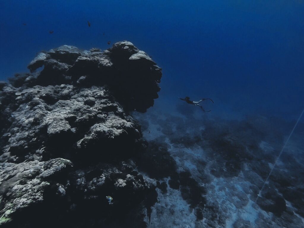 綠島自由潛水潛點 大香菇