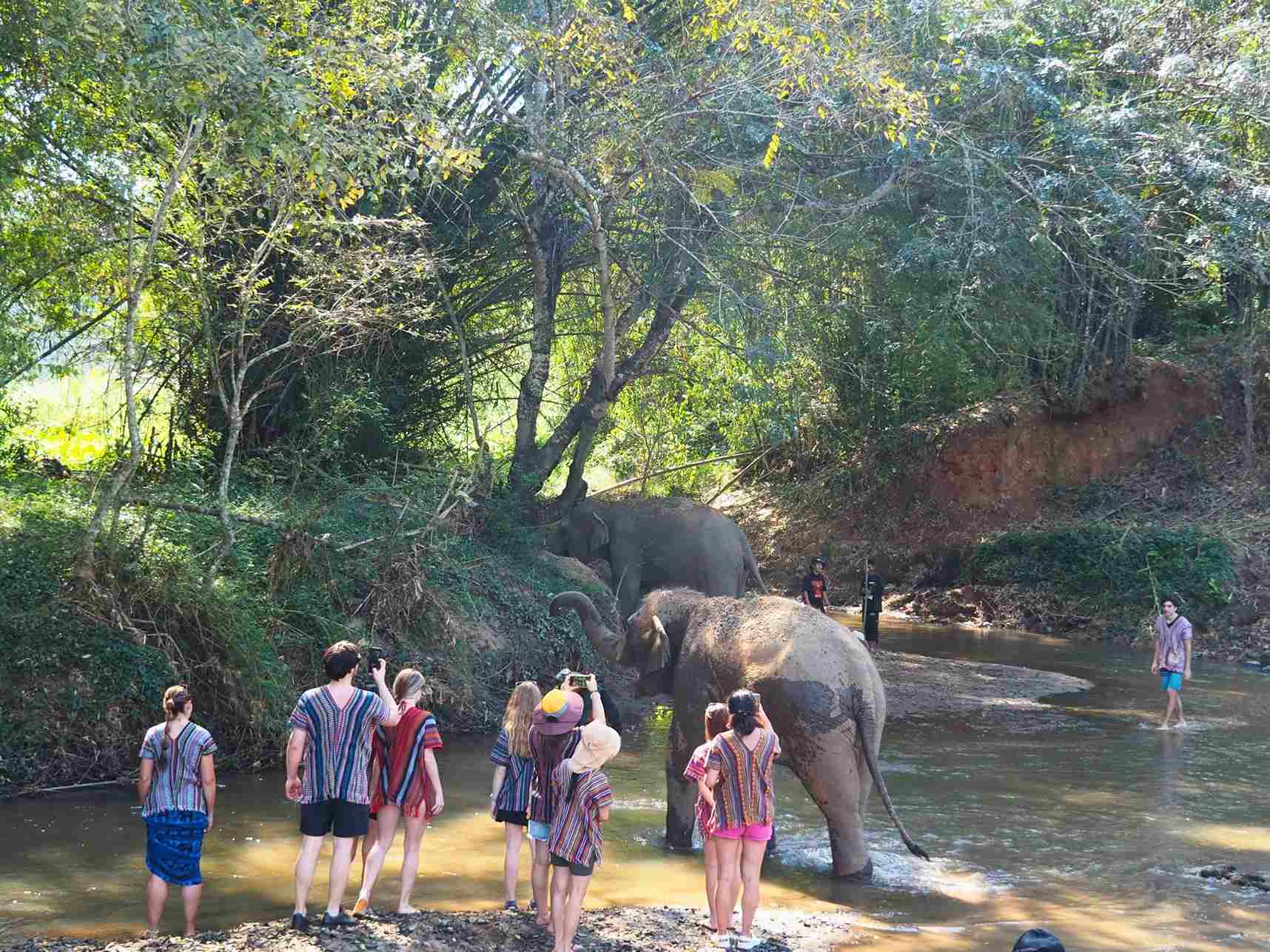 清邁大象友善體驗營Elephant Jungle Sanctuary大象河邊散步