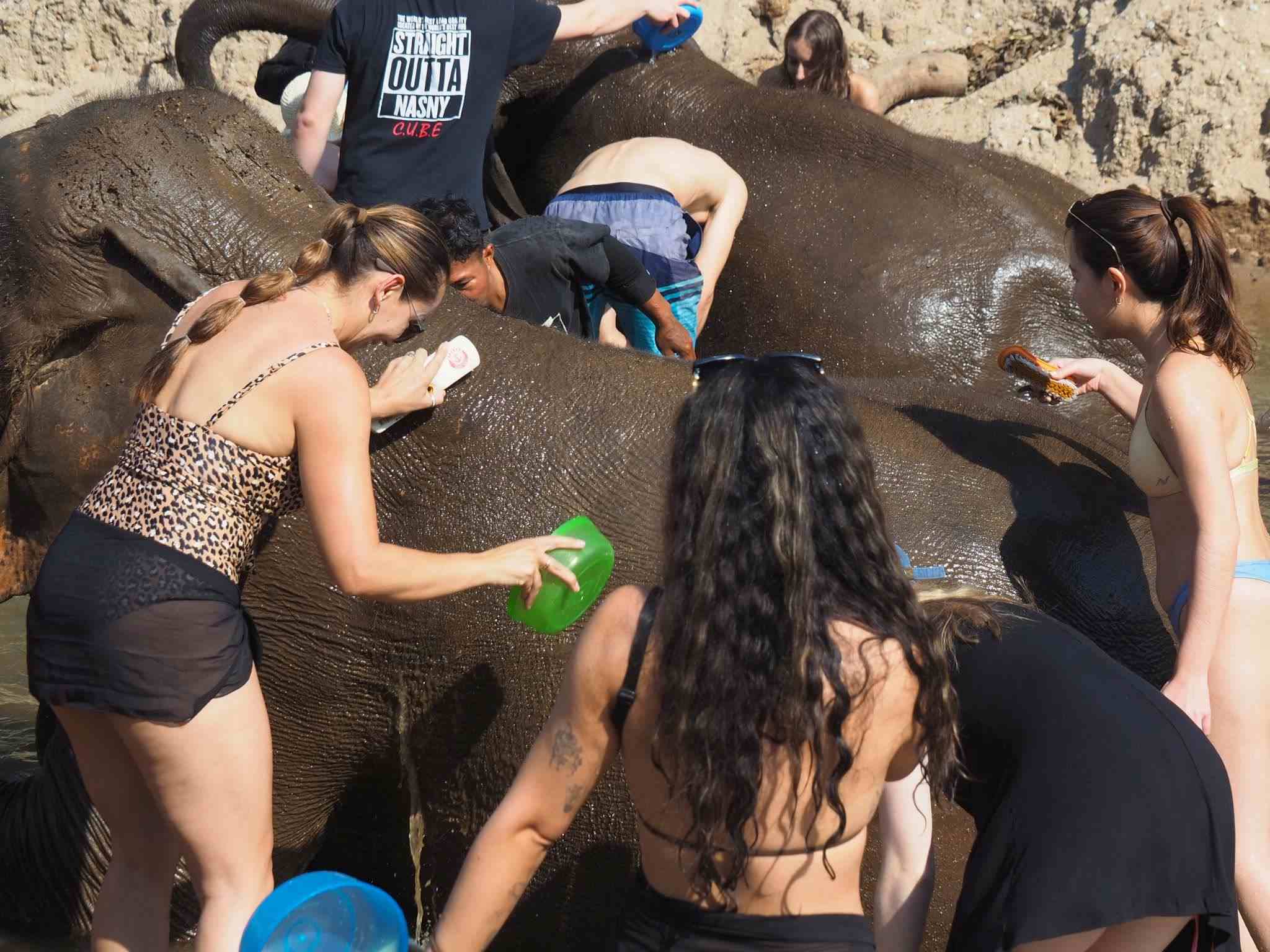 清邁大象友善體驗營Elephant Jungle Sanctuary大象洗澡玩泥巴浴