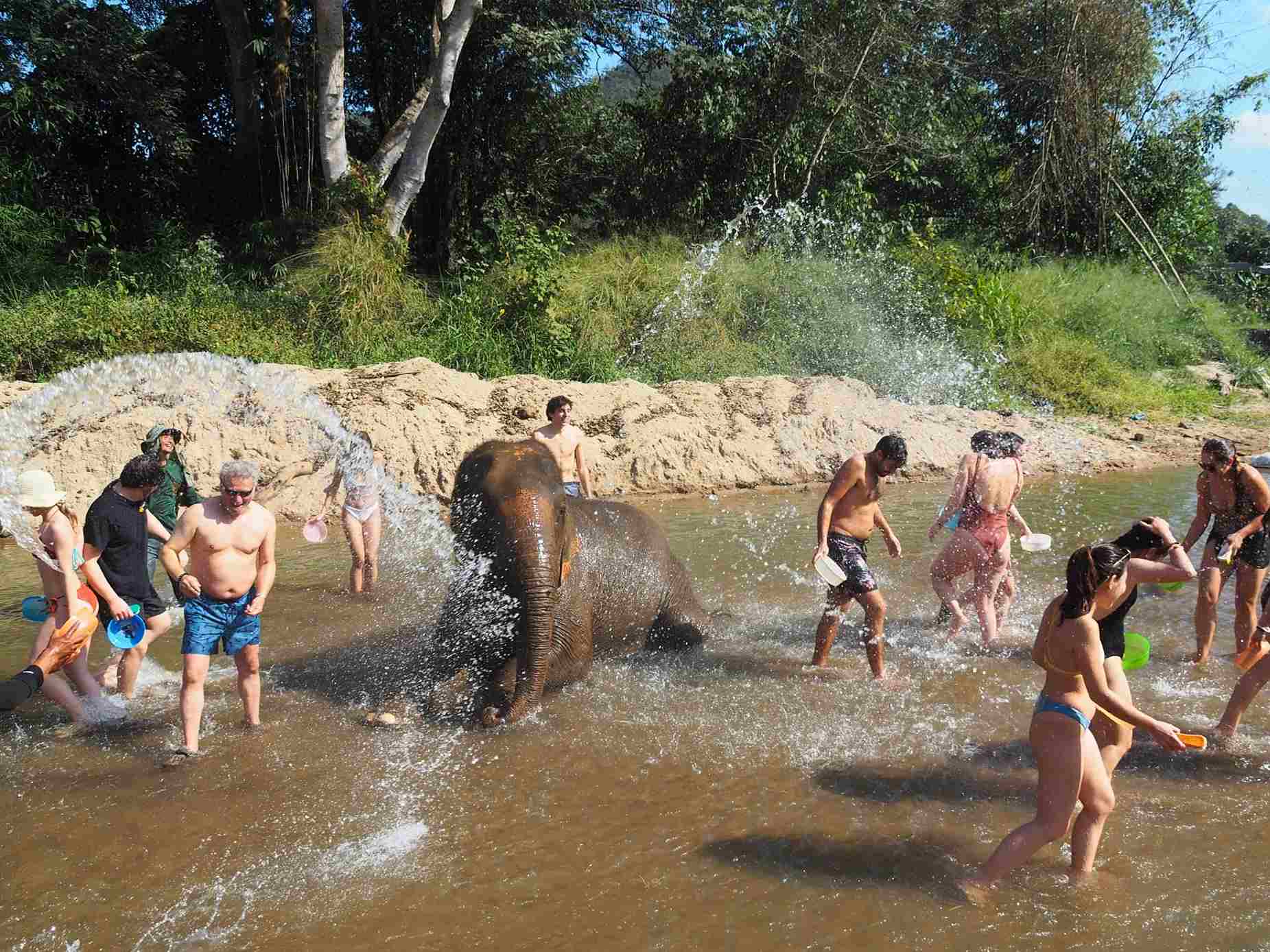 清邁大象友善體驗營Elephant Jungle Sanctuary大象洗澡玩泥巴浴