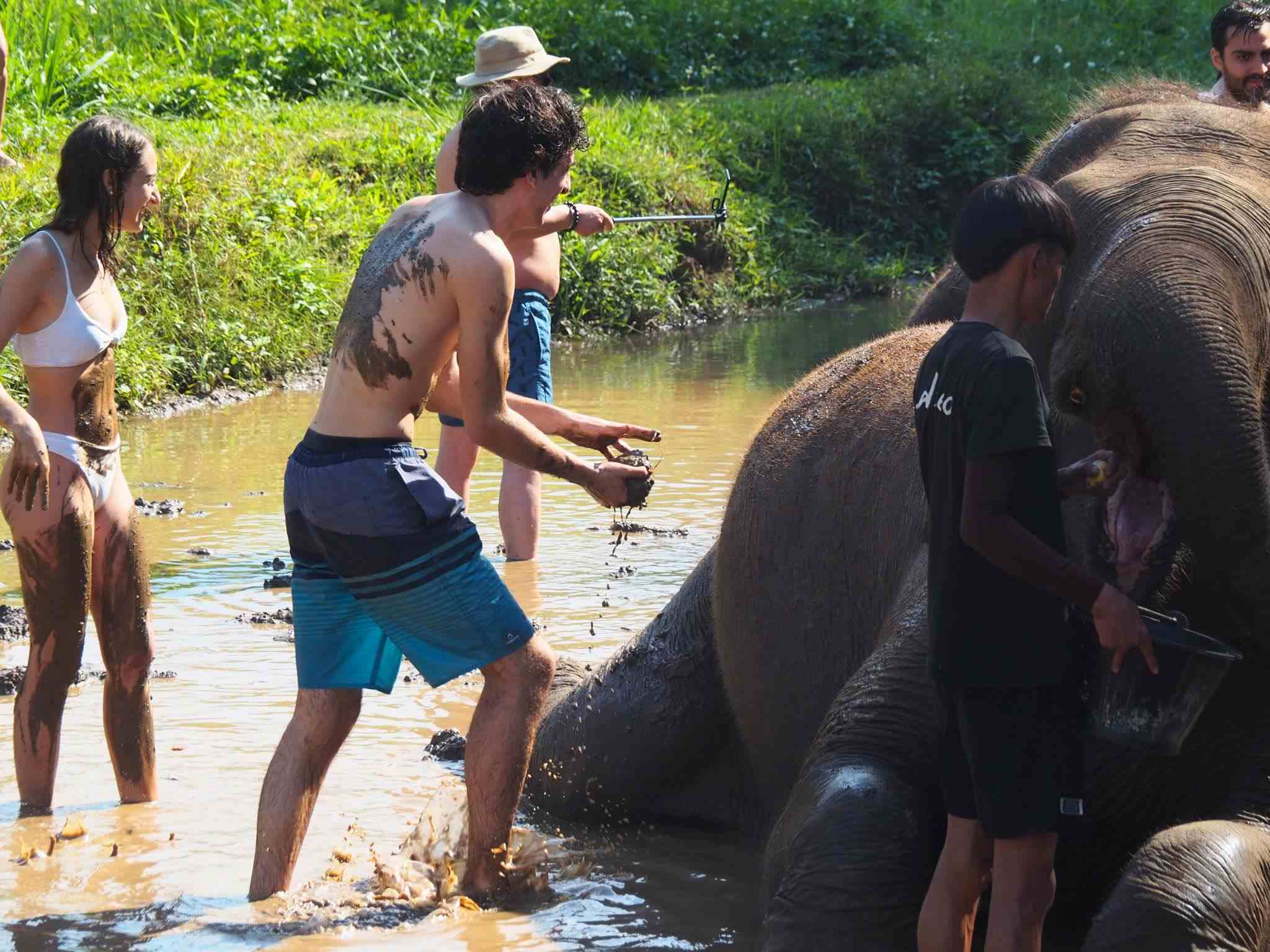 清邁大象友善體驗營Elephant Jungle Sanctuary大象洗澡玩泥巴浴