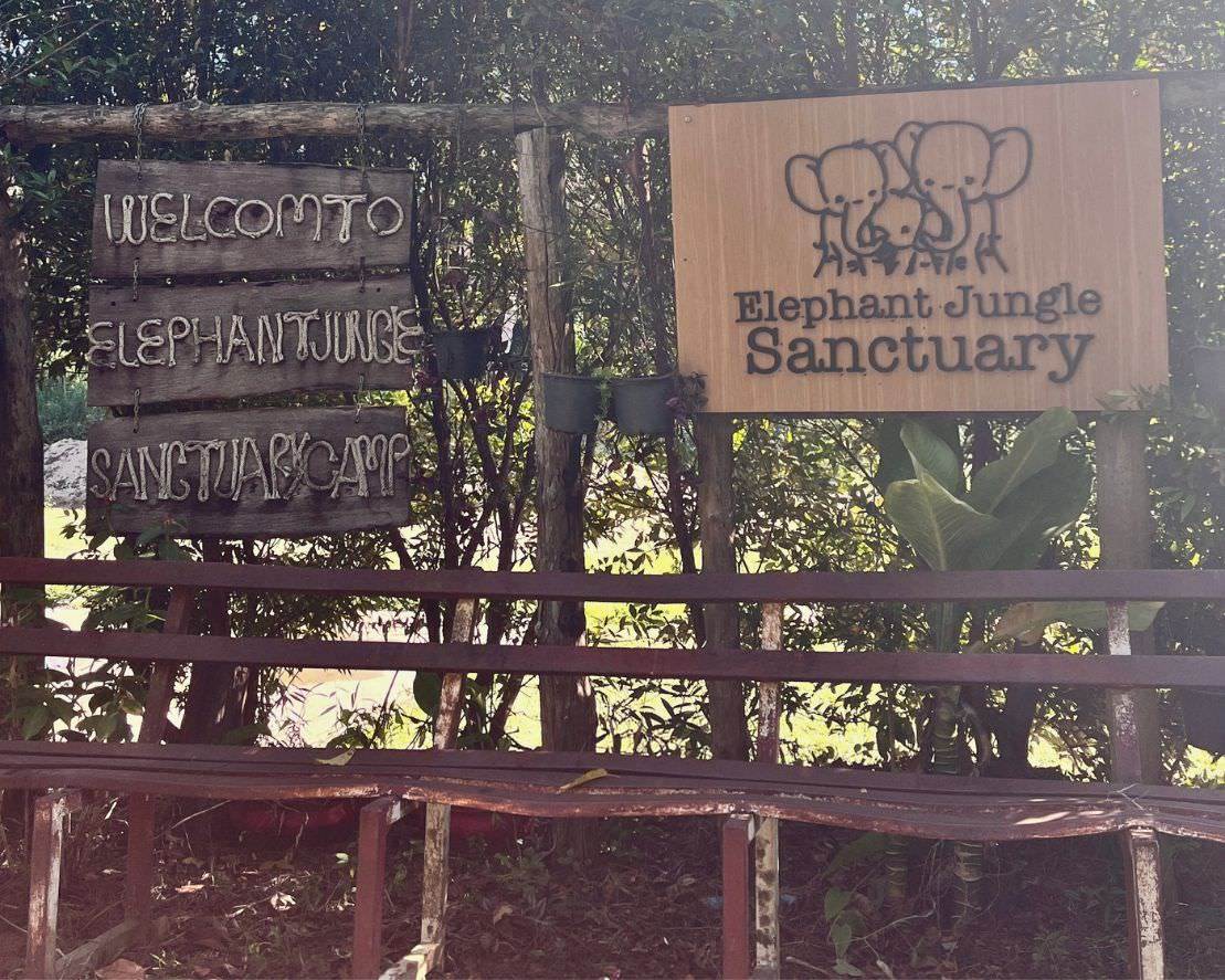 清邁大象友善體驗營Elephant Jungle Sanctuary