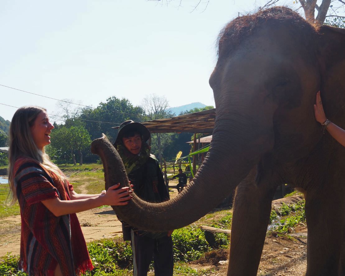 清邁大象友善體驗營Elephant Jungle Sanctuary