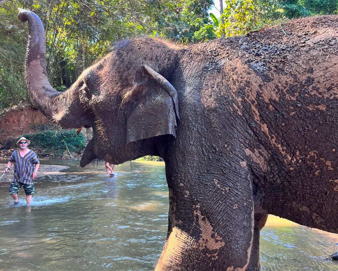 清邁大象友善體驗營Elephant Jungle Sanctuary大象河邊散步