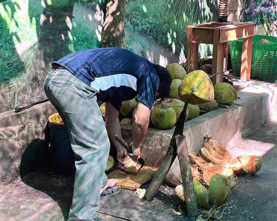 越南椰子島加工廠 越南椰子島加工廠