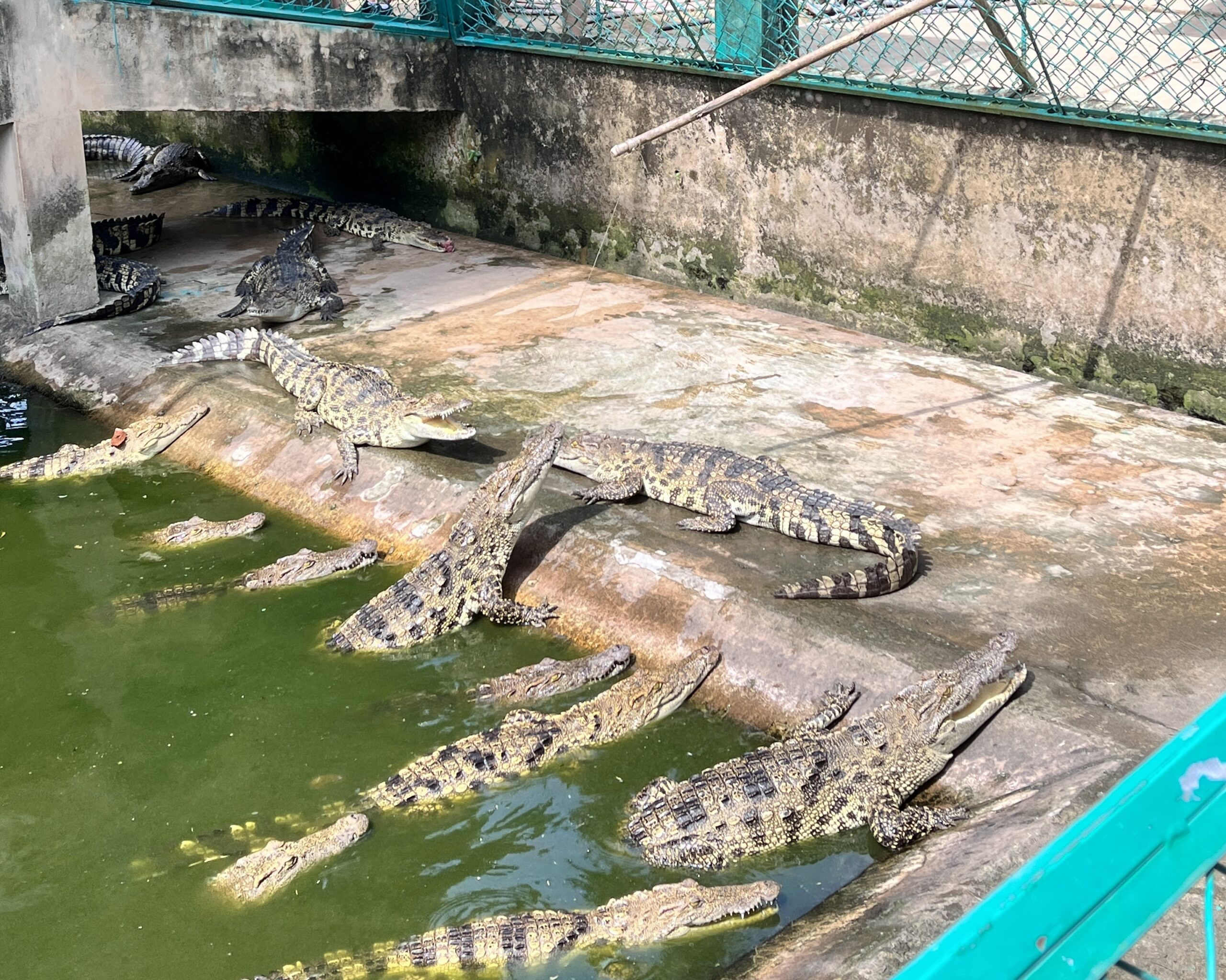 胡志明行程 湄公河一日遊