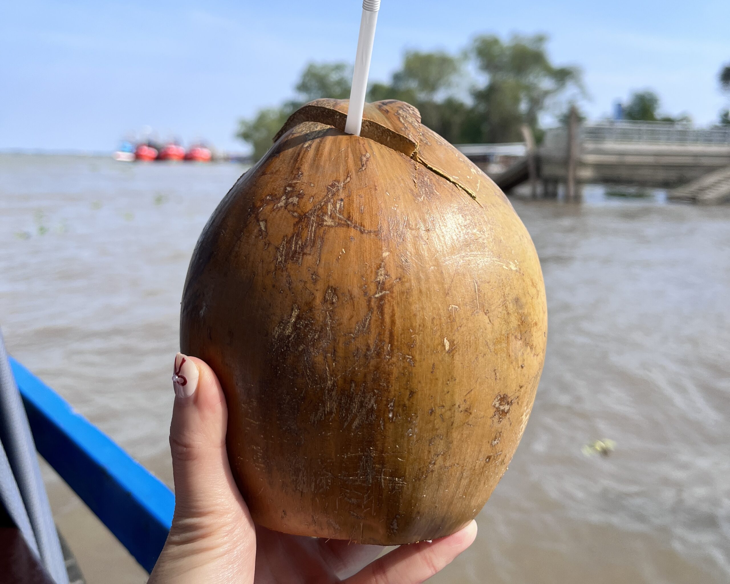 胡志明行程 湄公河一日遊