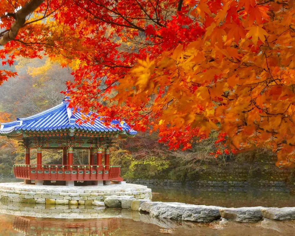 內藏山 內藏山