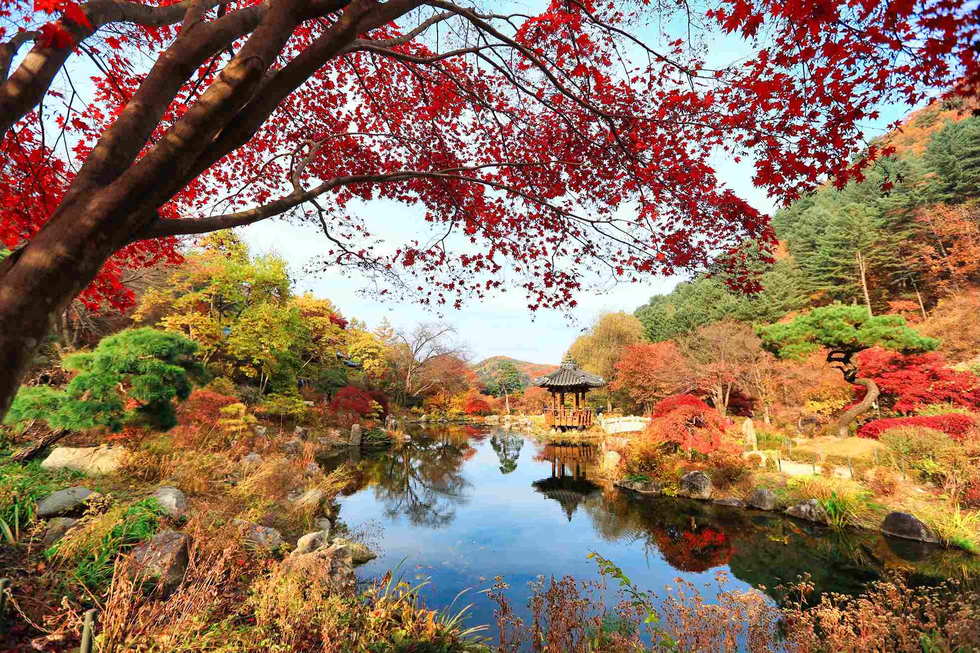 晨靜樹木園 晨靜樹木園