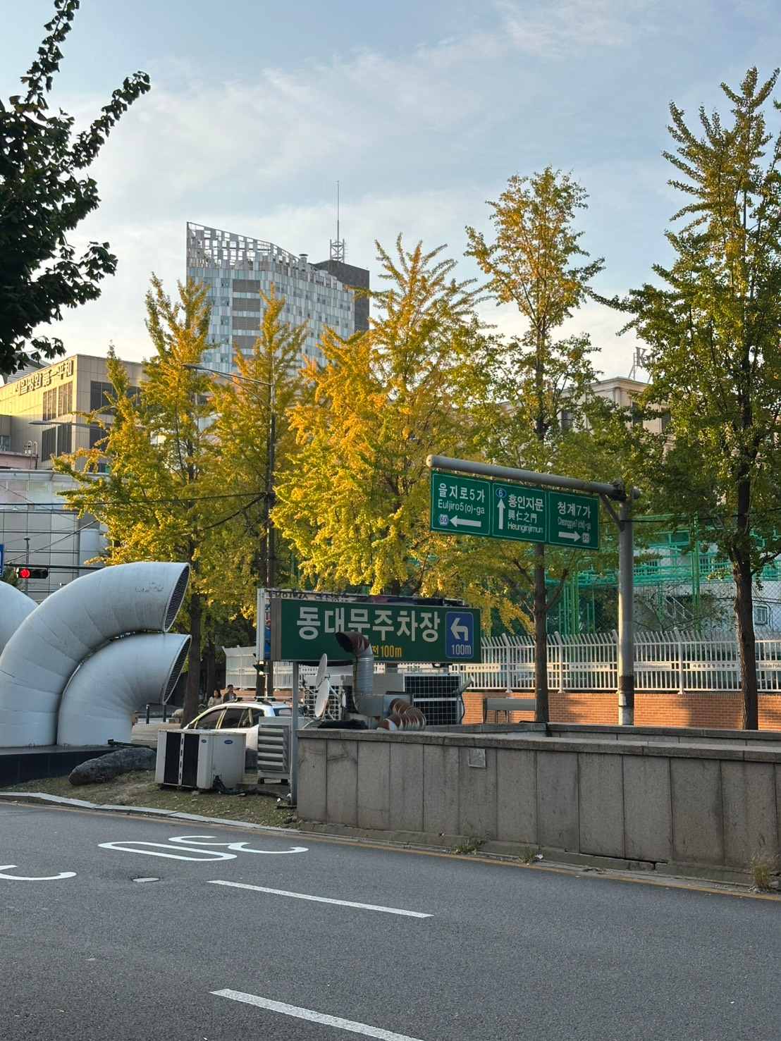 2025/10/25 東大門附近銀杏實況 2025/10/25 東大門附近銀杏實況