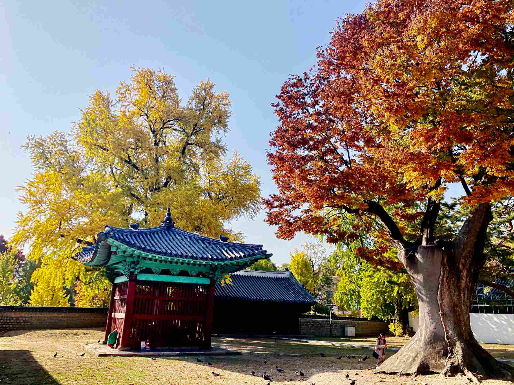 成均館明倫堂 成均館明倫堂