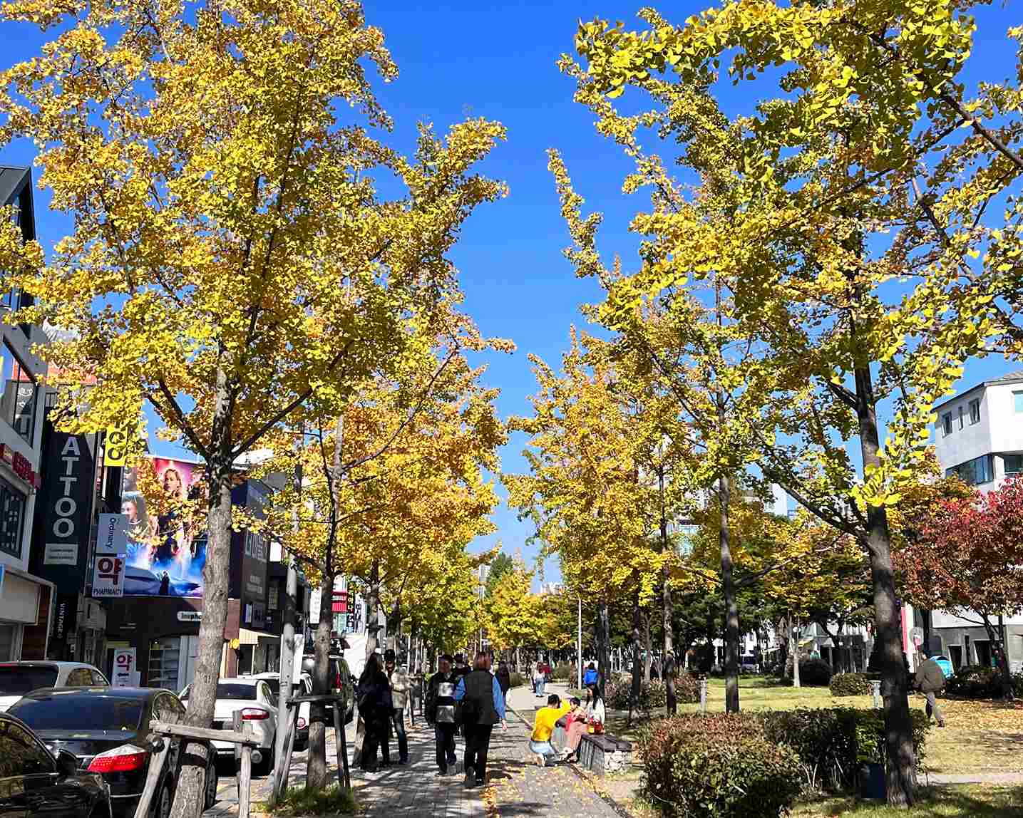 京義線林蔭道公園 京義線林蔭道公園