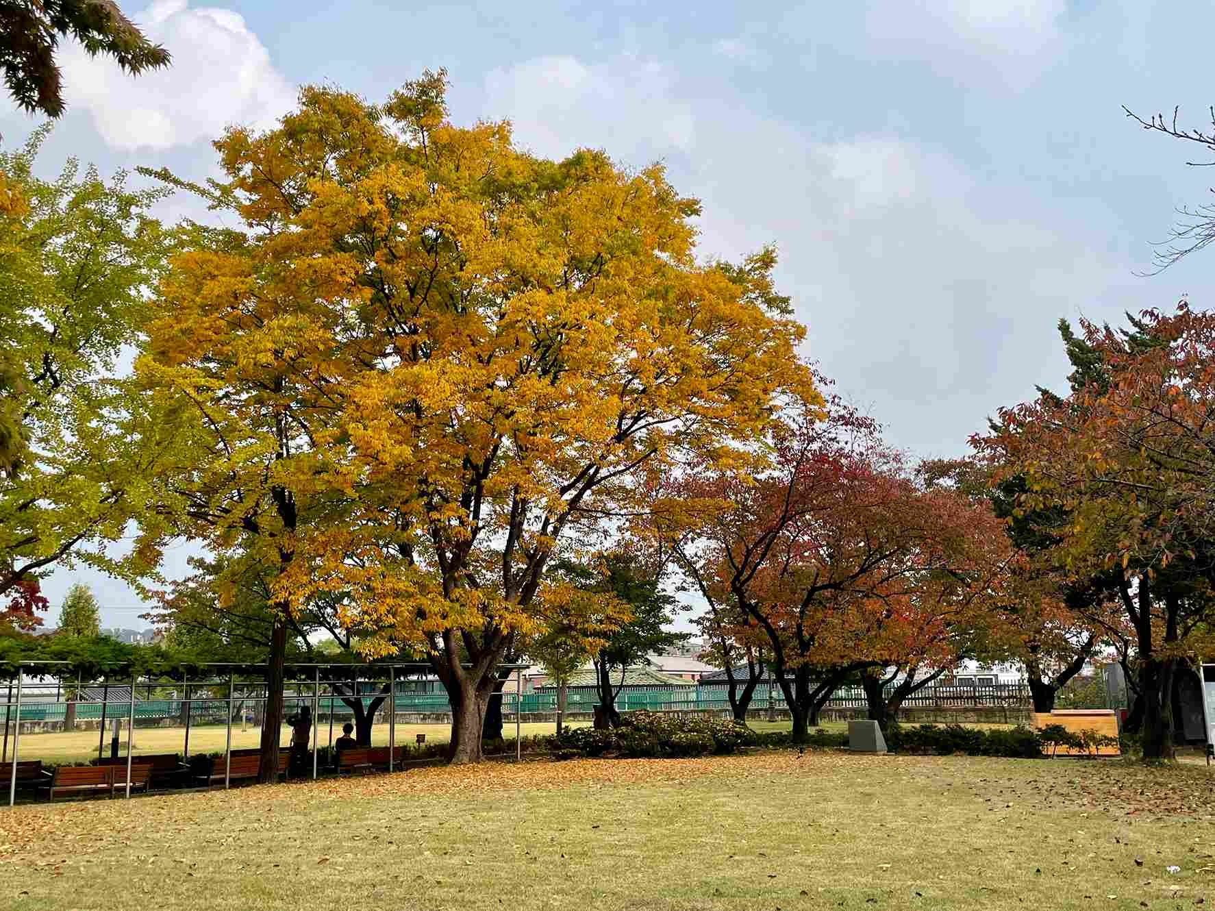 正讀圖書館 正讀圖書館