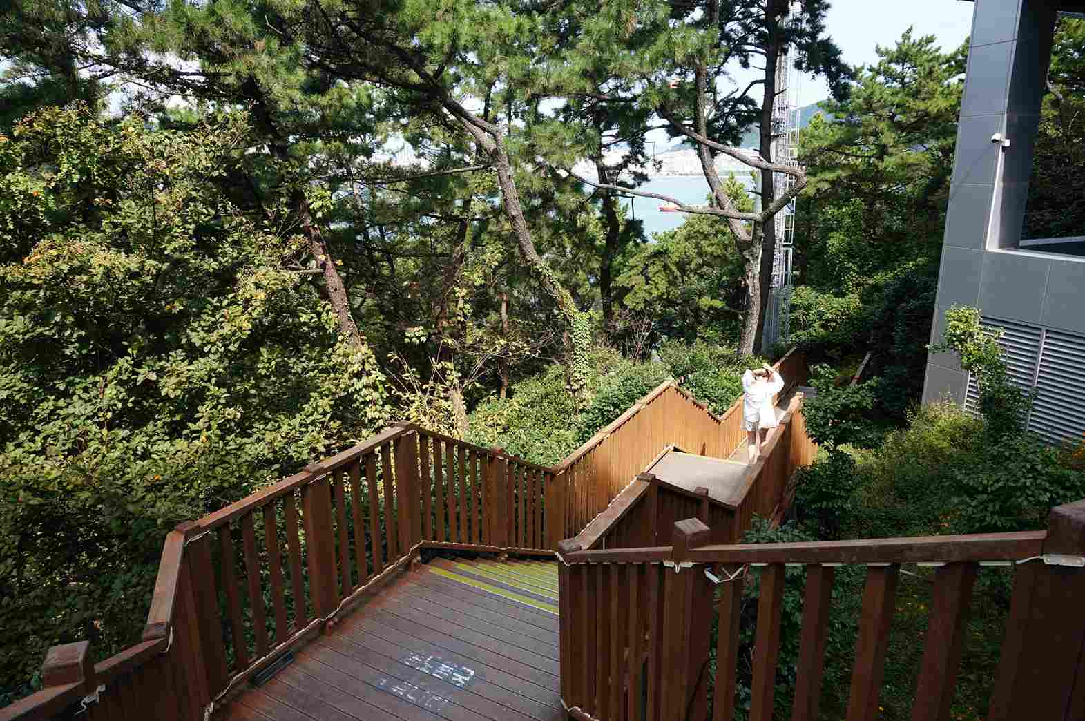 釜山松島龍宮空中步道