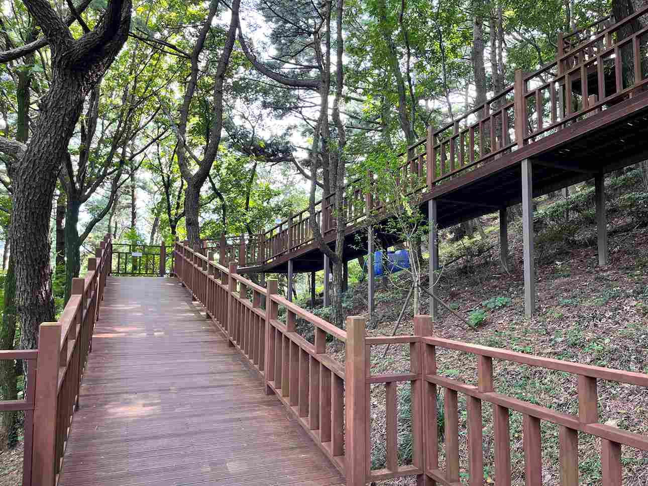 釜山松島岩南公園