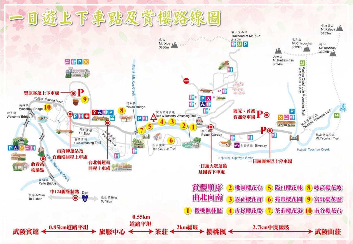 武陵農場賞櫻景點 武陵農場賞櫻景點