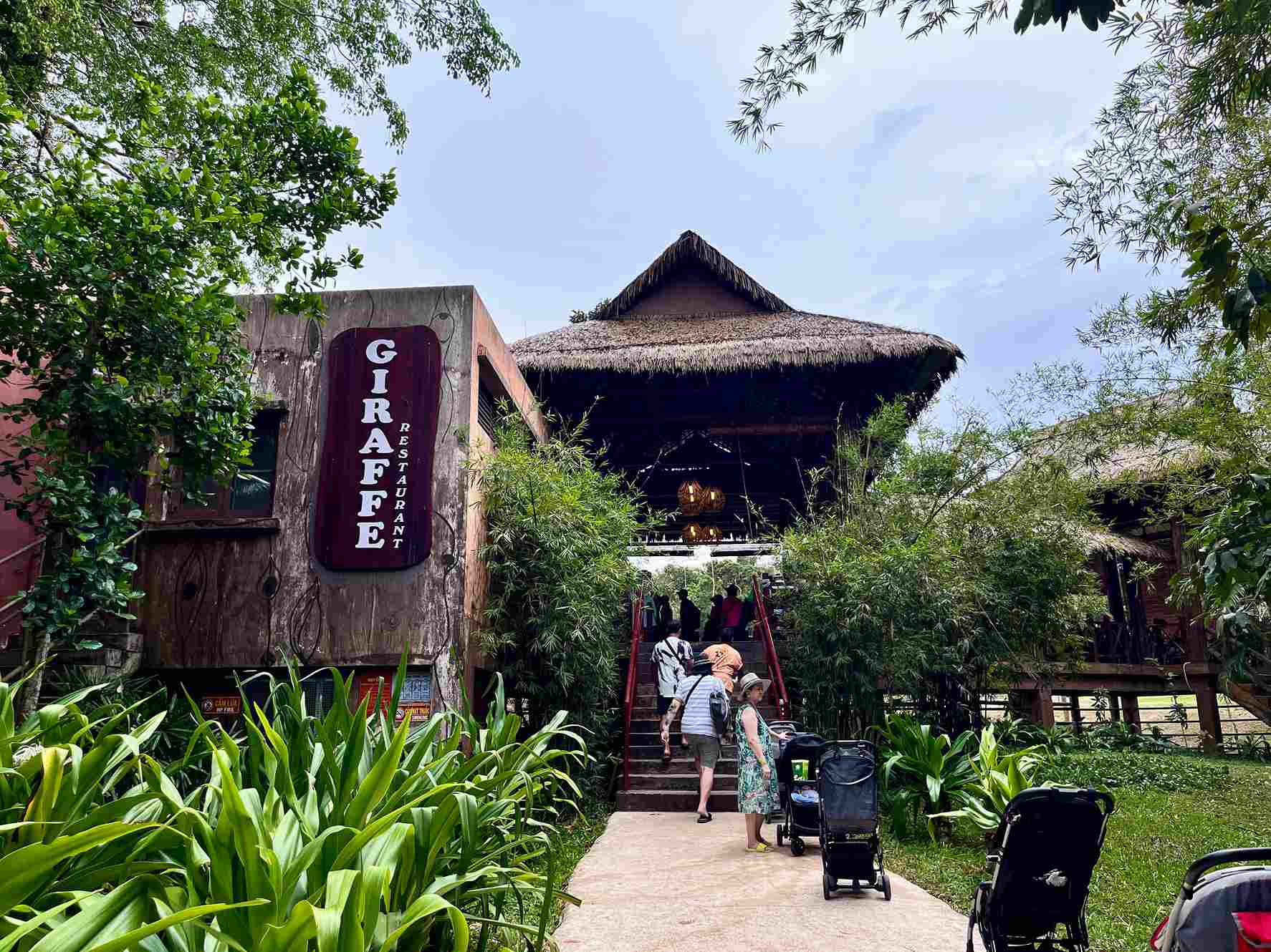 富國島珍珠野生動物園長頸鹿餐廳