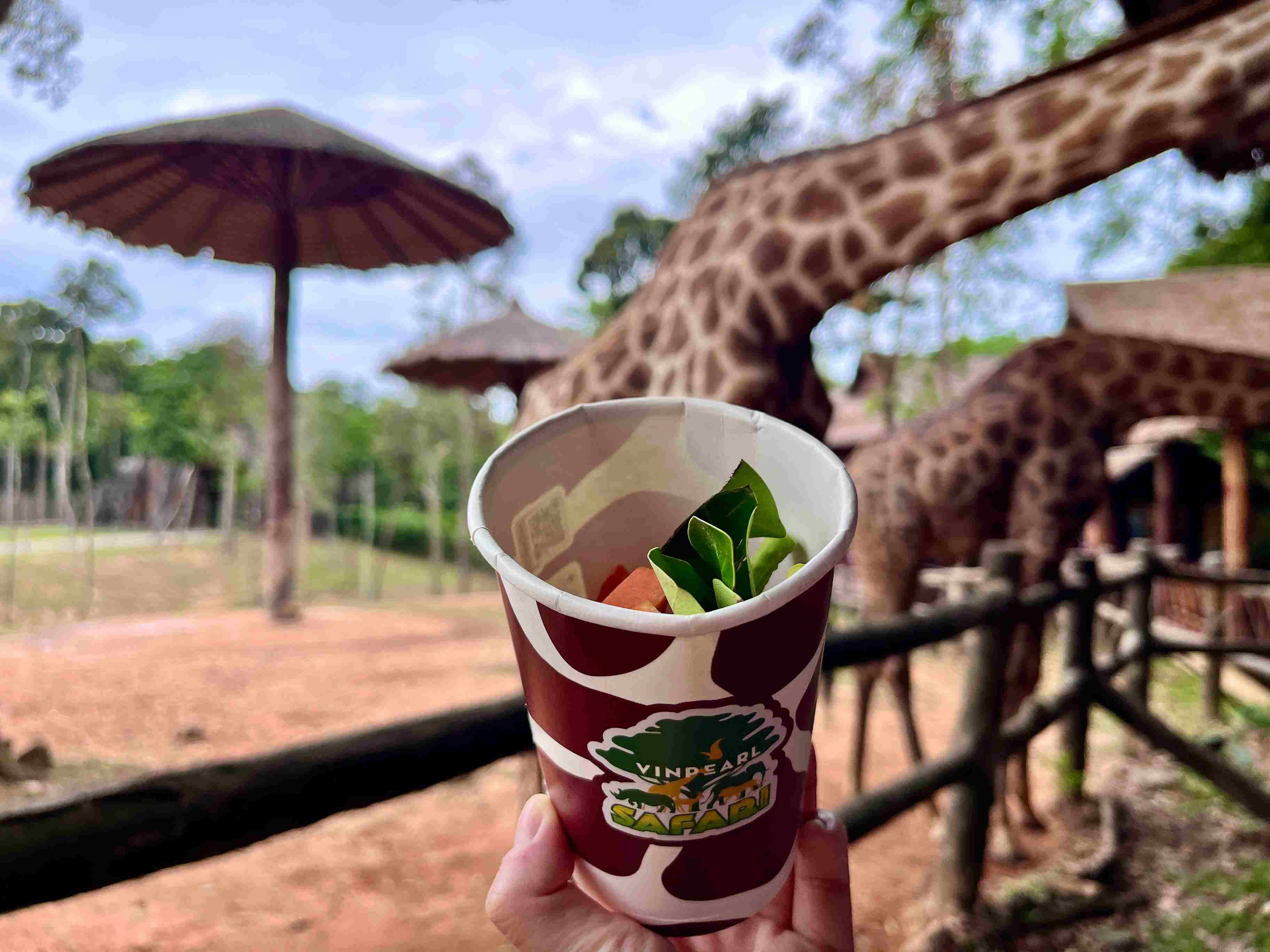 富國島珍珠野生動物園長頸鹿飼料