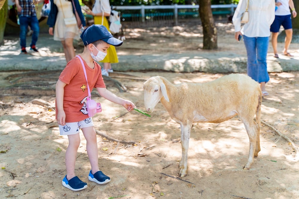 富國島珍珠野生動物園Kid Zoo