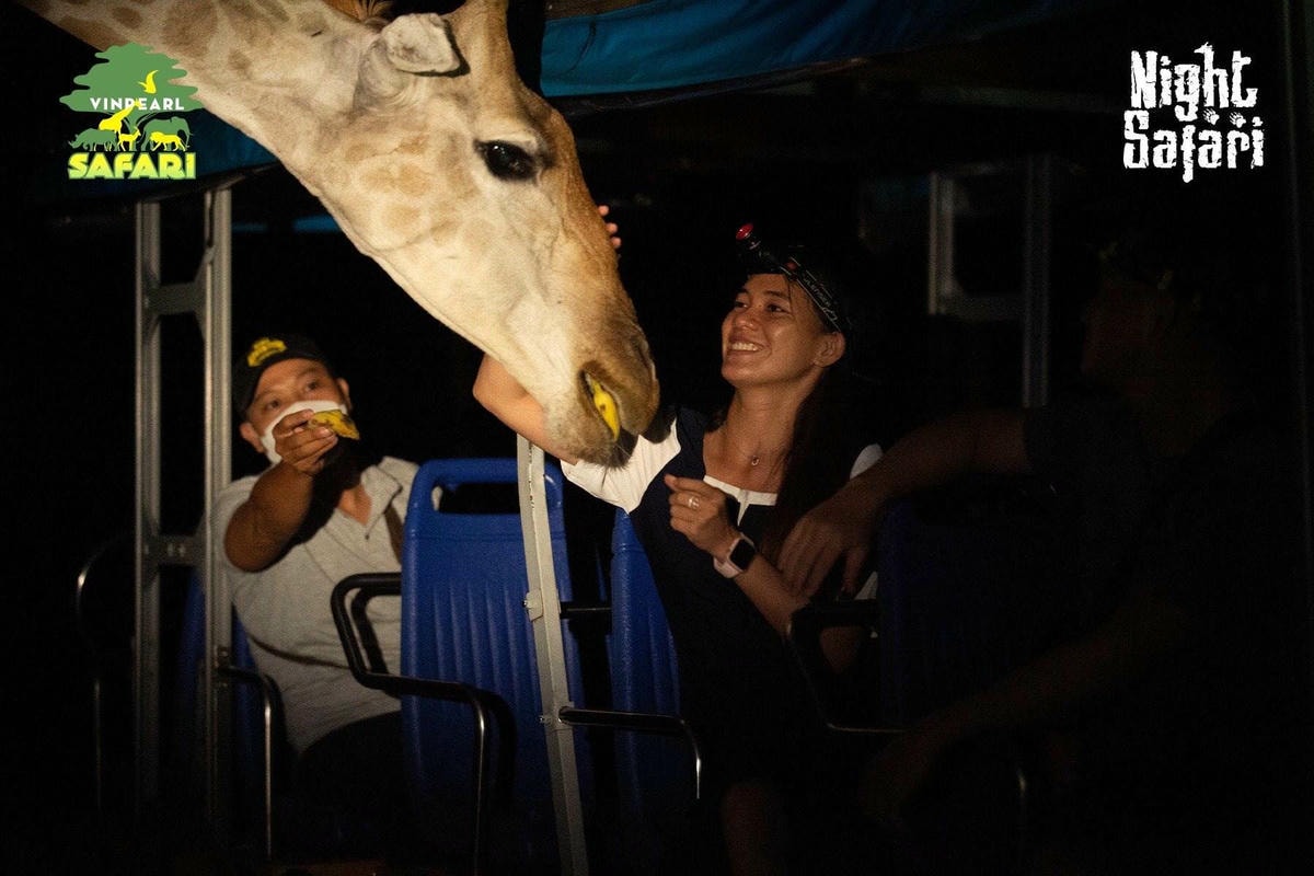 富國島珍珠野生動物園夜間動物園 Night Safari 富國島珍珠野生動物園夜間動物園 Night Safari