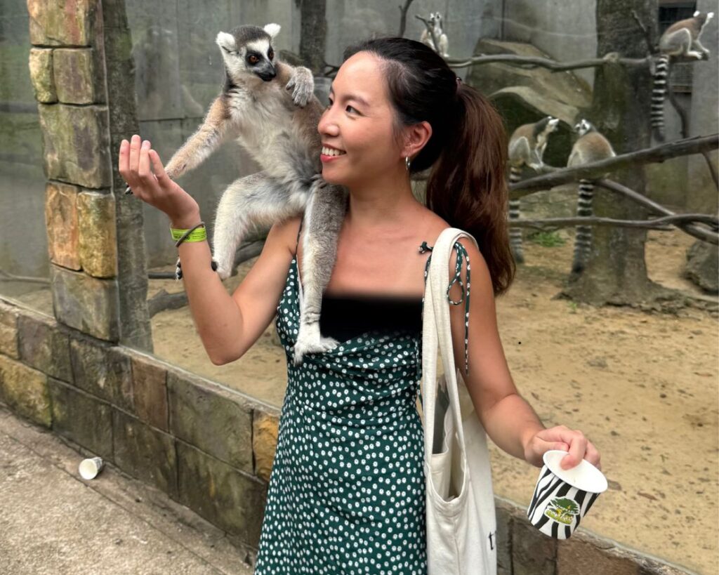 富國島珍珠野生動物園環尾狐猴餵食