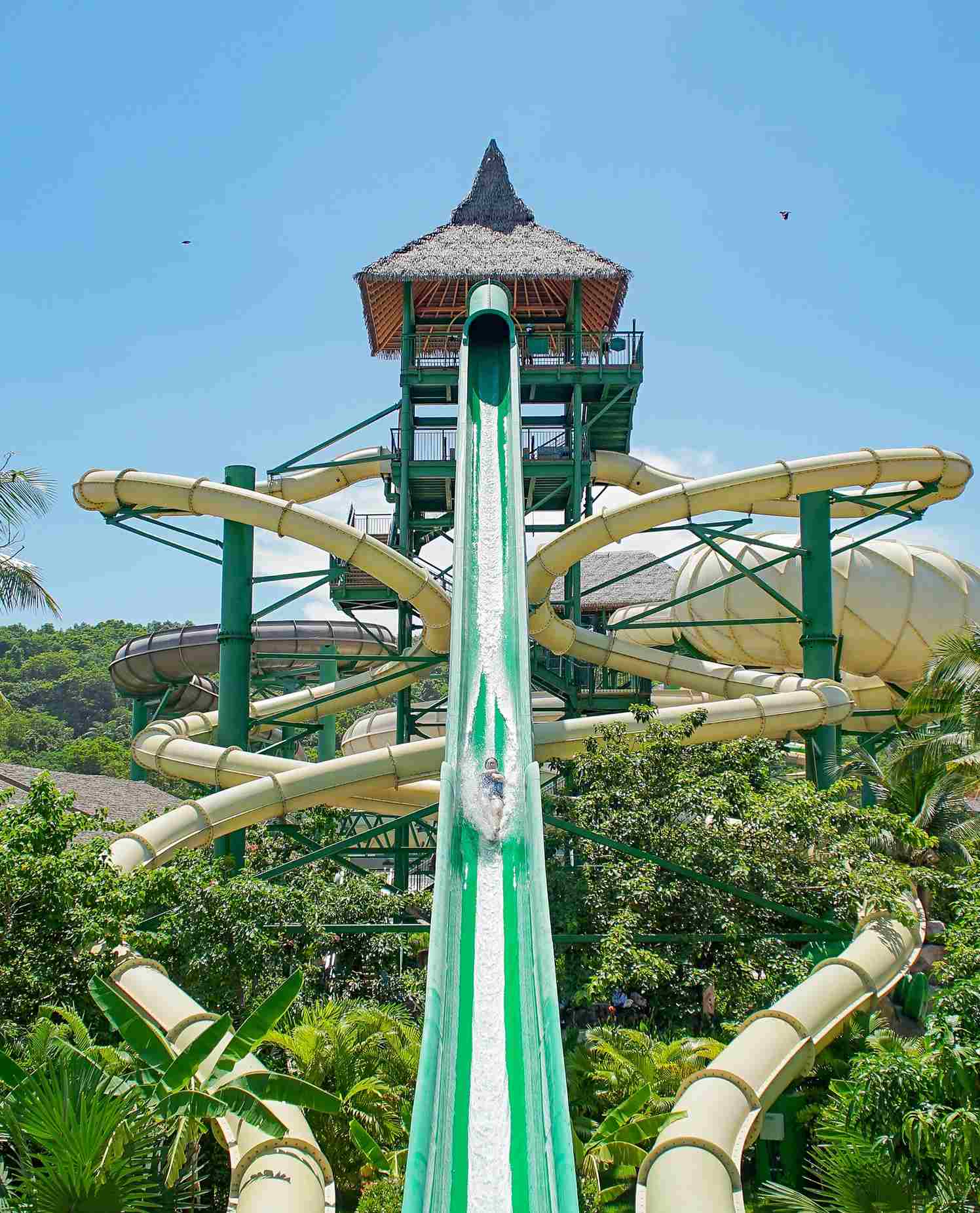 富國島太陽世界自然公園水上樂園Python Plunge King & Queen Cobra 富國島太陽世界自然公園水上樂園Python Plunge King & Queen Cobra