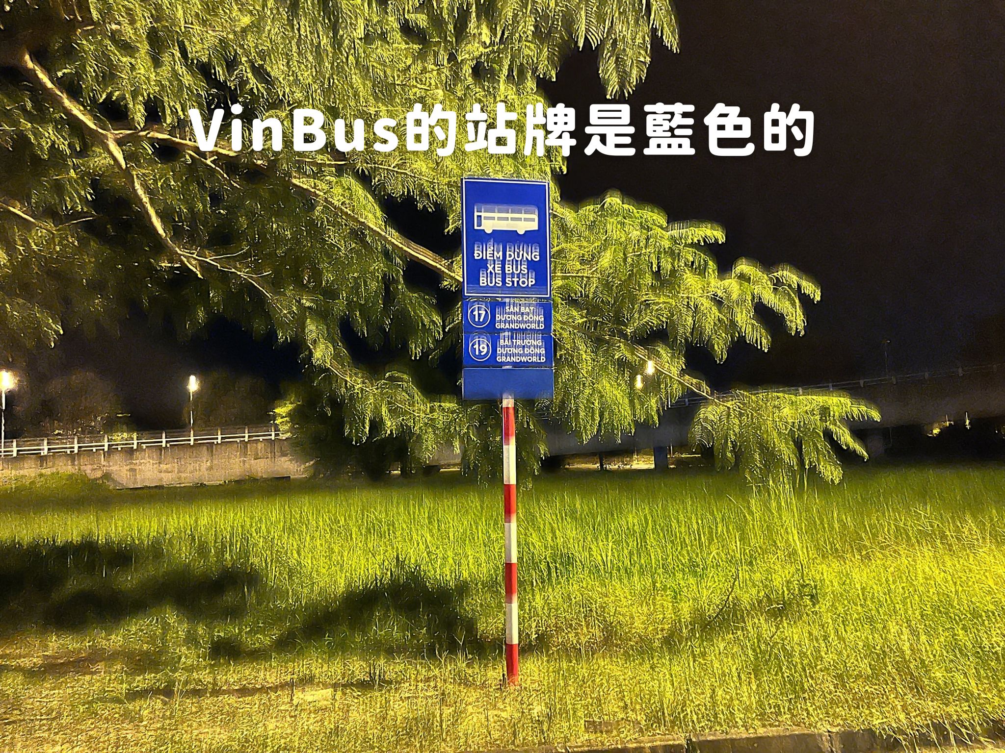 富國島機場VinBus站牌