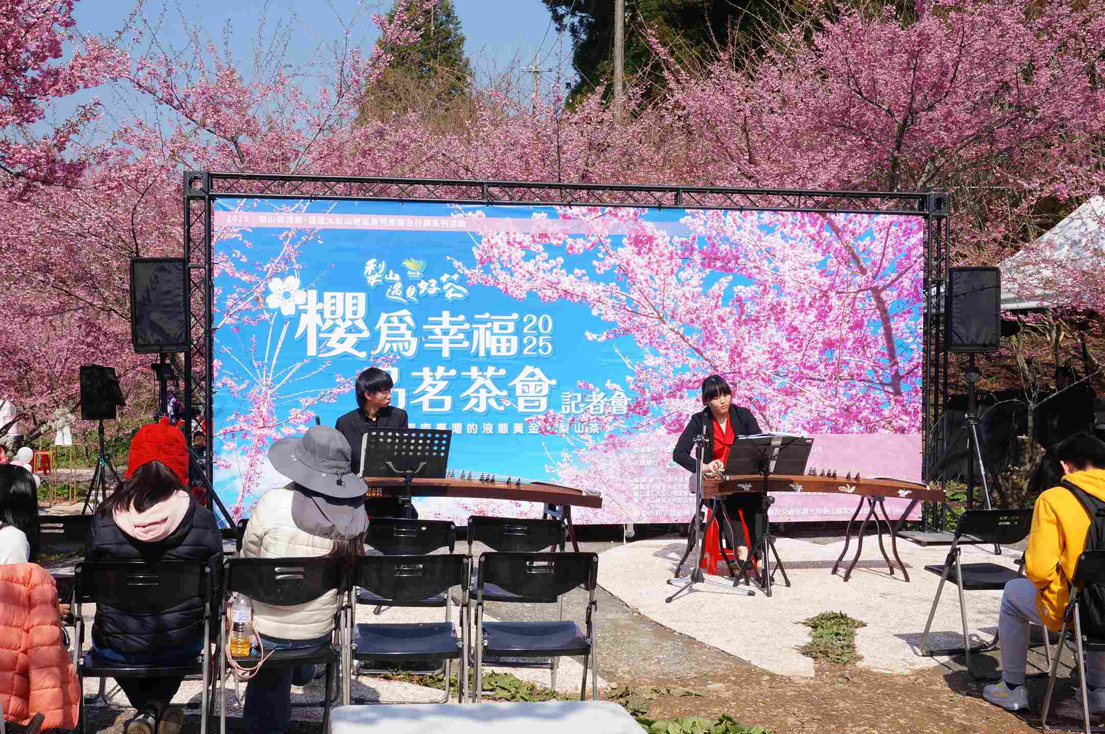 福壽山農場千櫻園花況