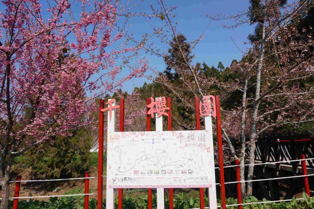 福壽山農場千櫻園