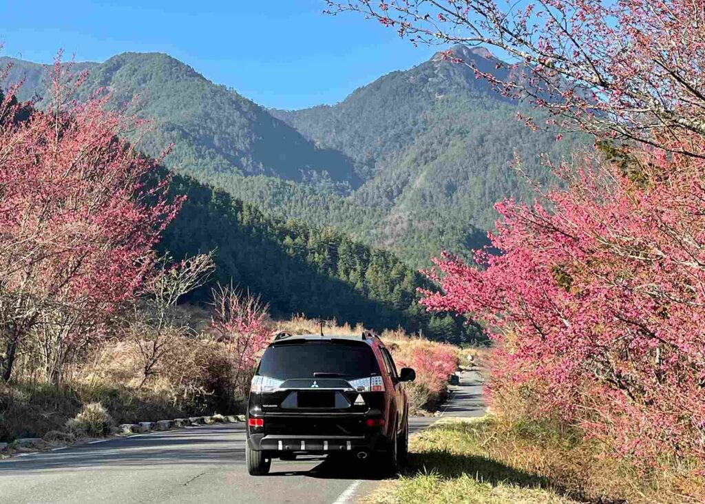 福壽山農場交通