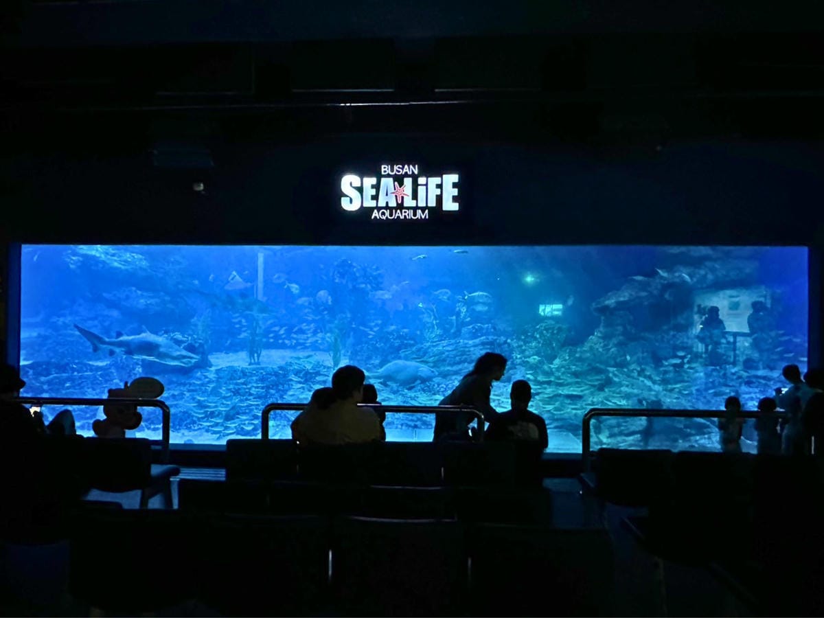 釜山Sea Life水族館