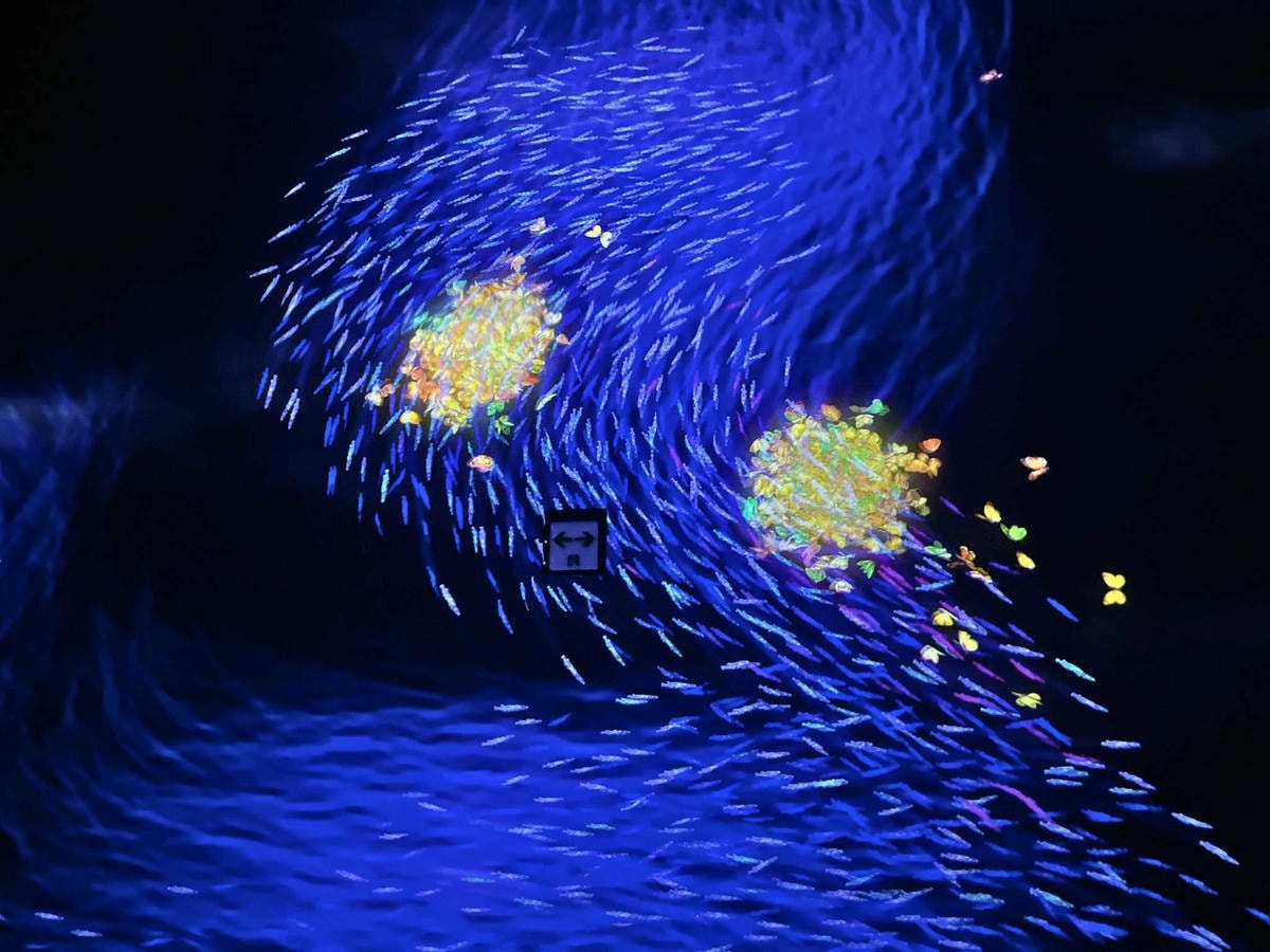 東京麻布台teamLab Borderless海洋之流動,飛越過邊界 東京麻布台teamLab Borderless海洋之流動,飛越過邊界