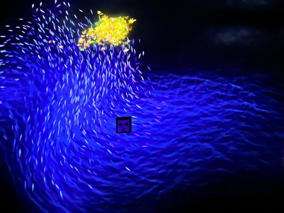 東京麻布台teamLab Borderless海洋之流動,飛越過邊界 東京麻布台teamLab Borderless海洋之流動,飛越過邊界