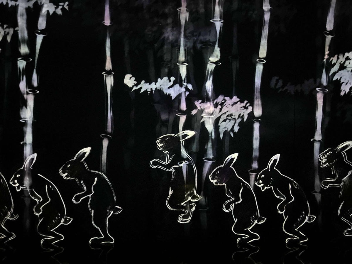 東京麻布台teamLab Borderless走,走,走 東京麻布台teamLab Borderless走,走,走