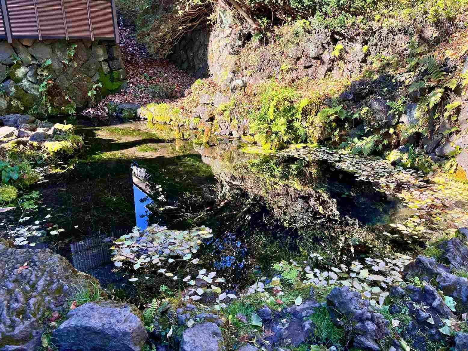 忍野八海御釜池 忍野八海御釜池
