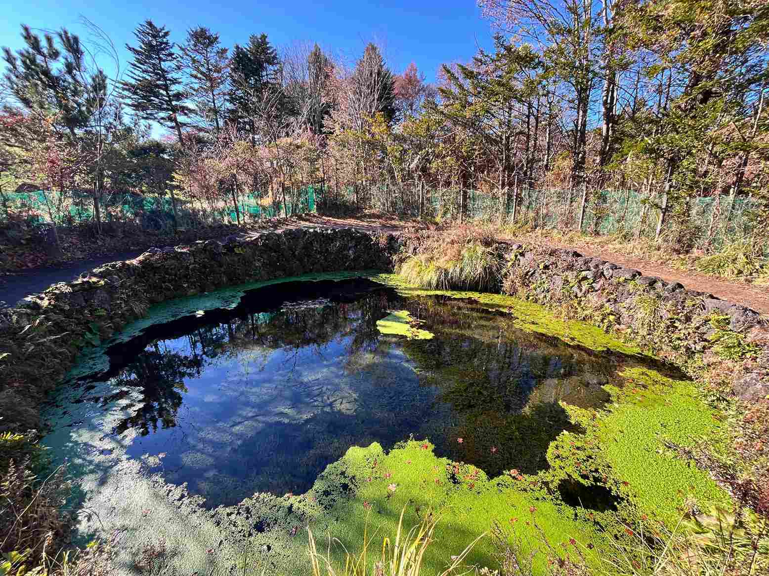 忍野八海銚子池 忍野八海銚子池