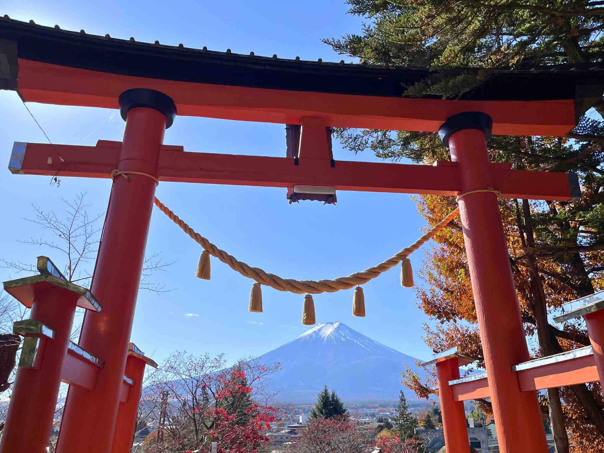 新倉山淺間公園大鳥居