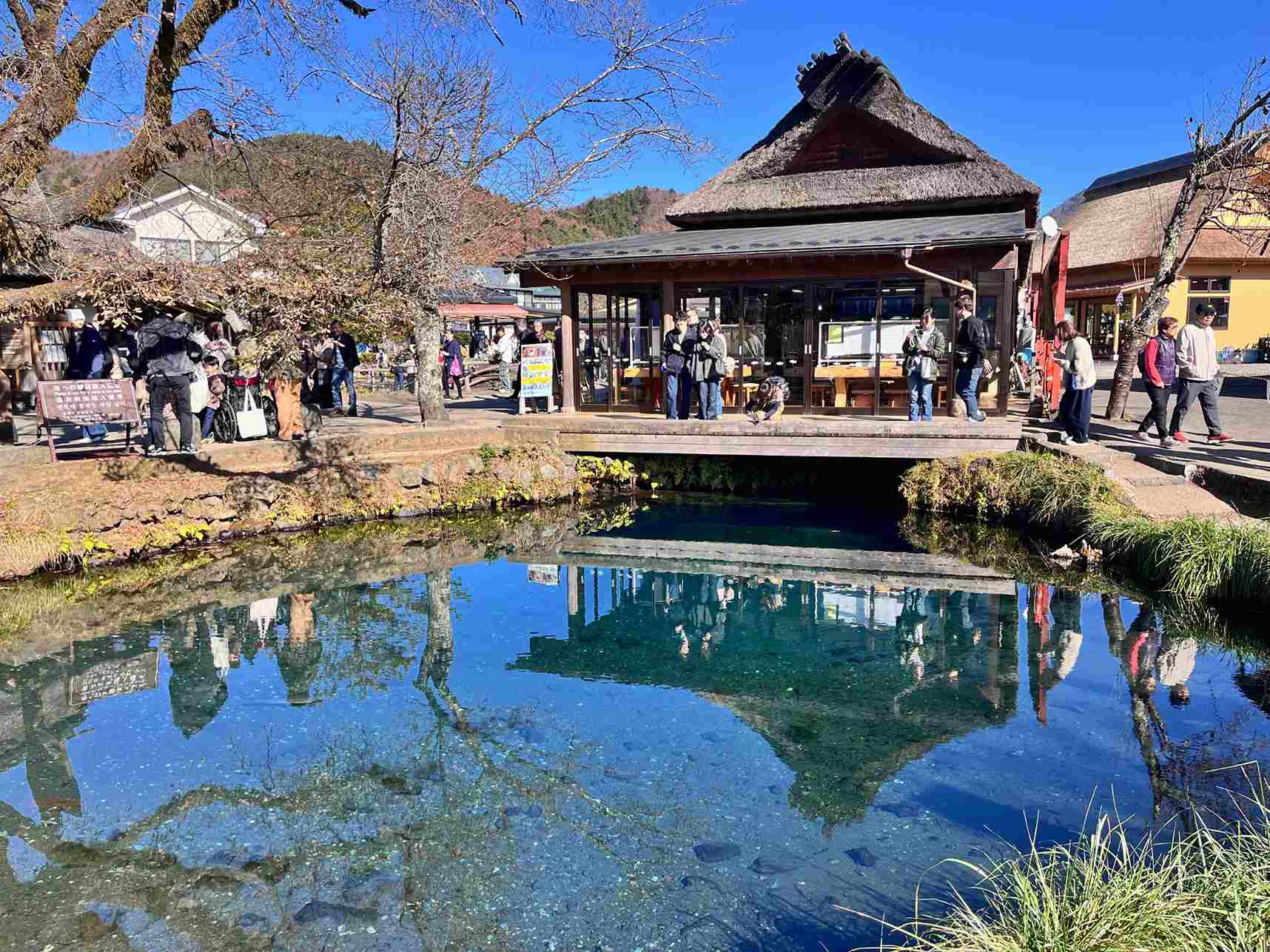 忍野八海湧池 忍野八海湧池