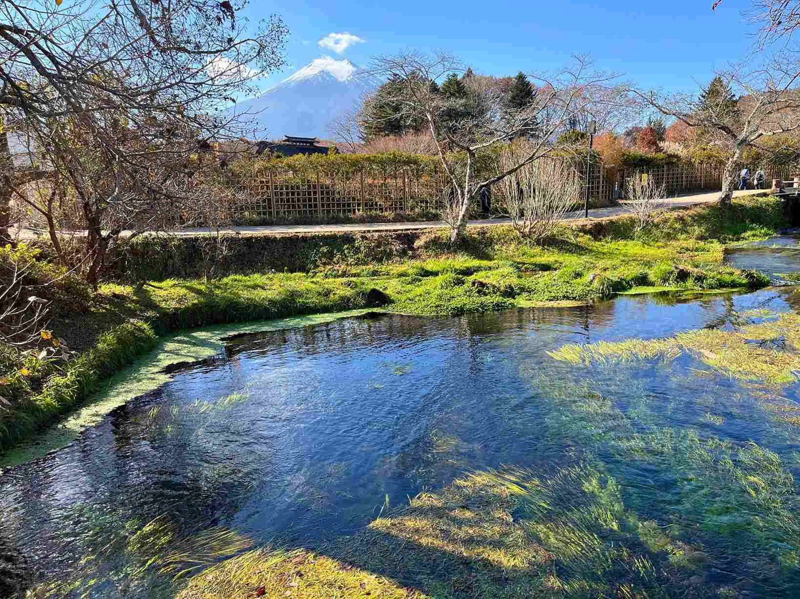 忍野八海濁池 忍野八海濁池