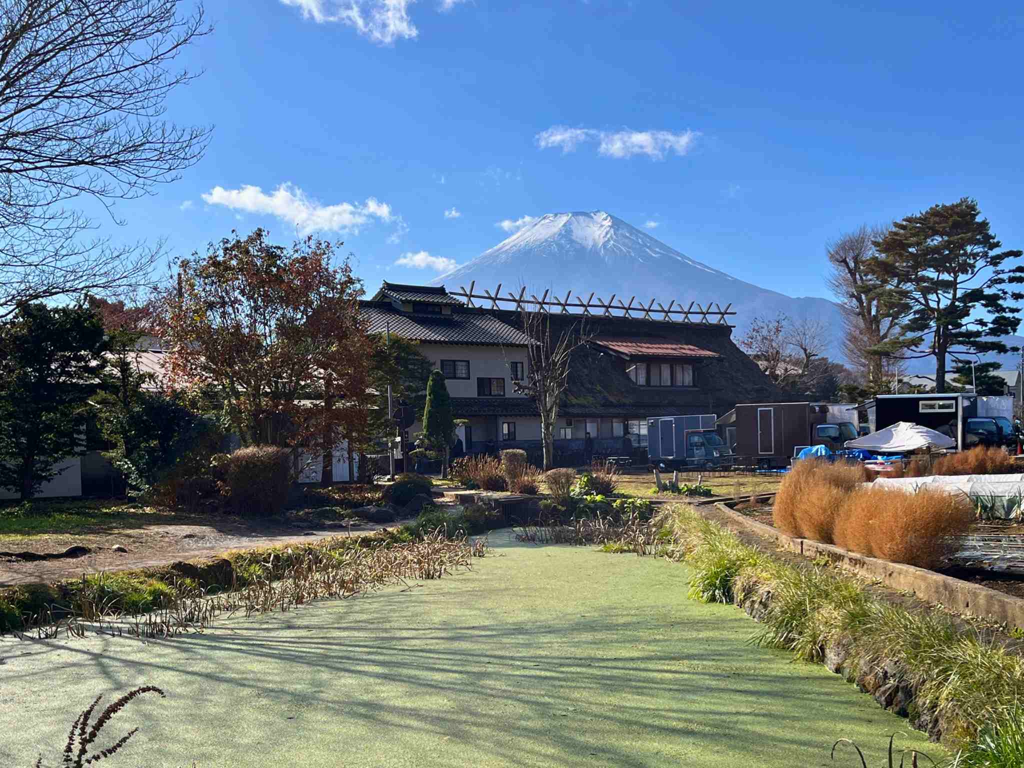 忍野八海菖蒲池 忍野八海菖蒲池