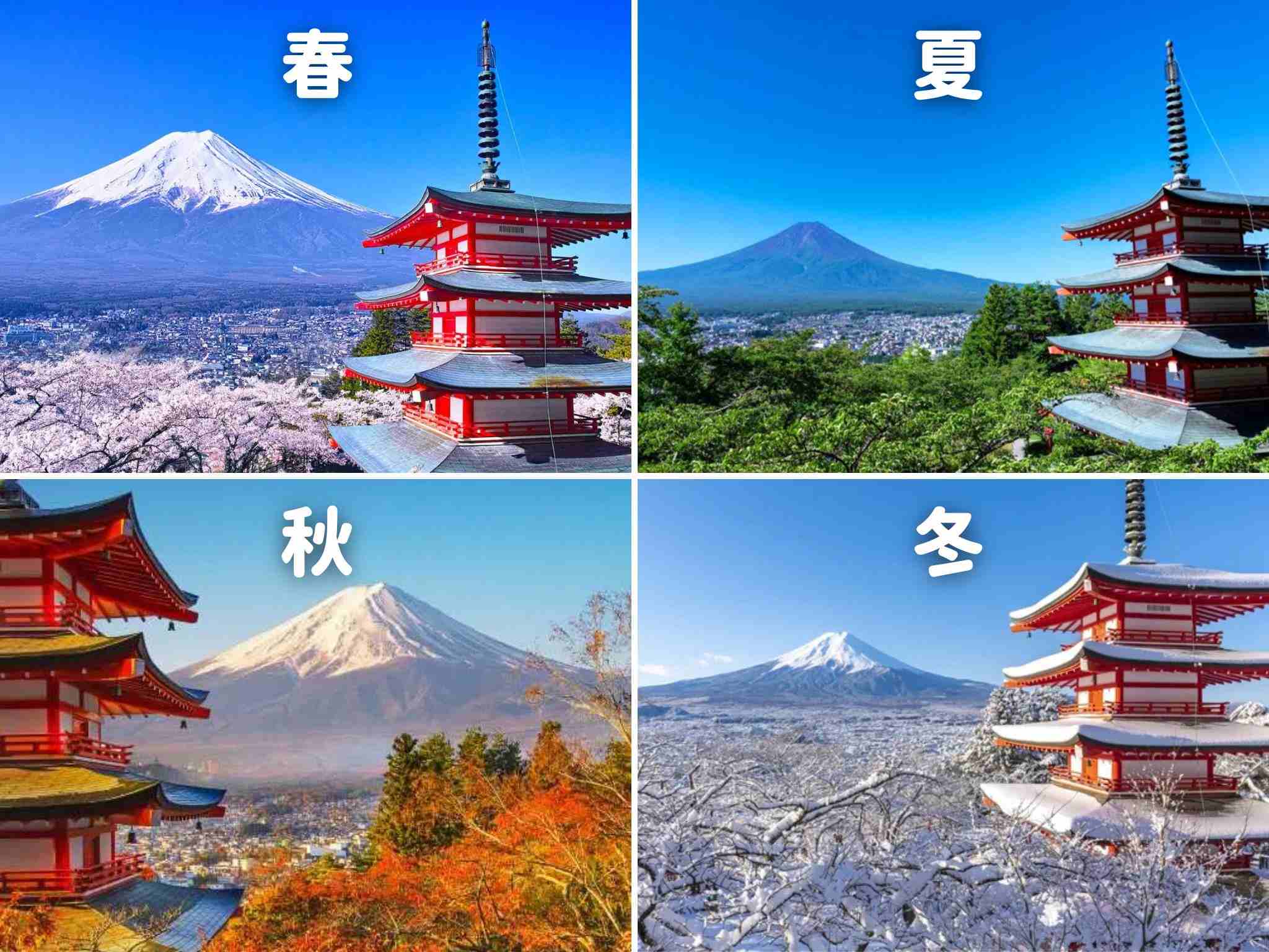 新倉山淺間公園四季
