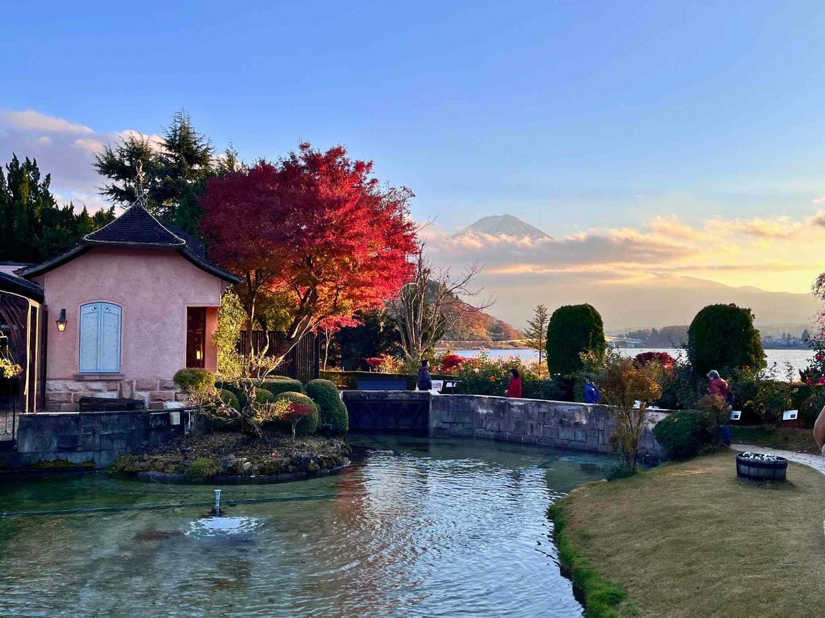河口湖音樂森林美術館富士山景