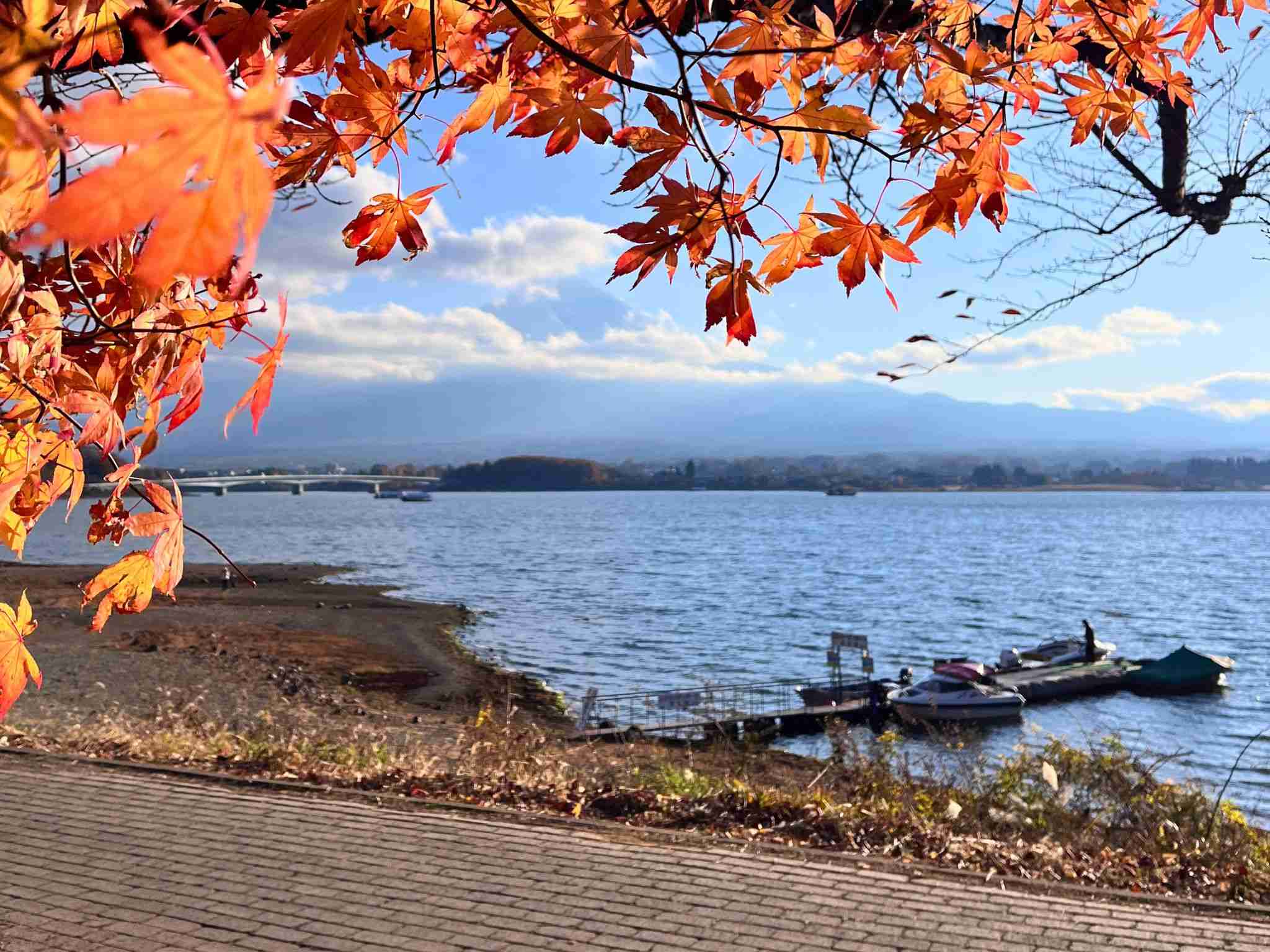 古賀政男記念公園