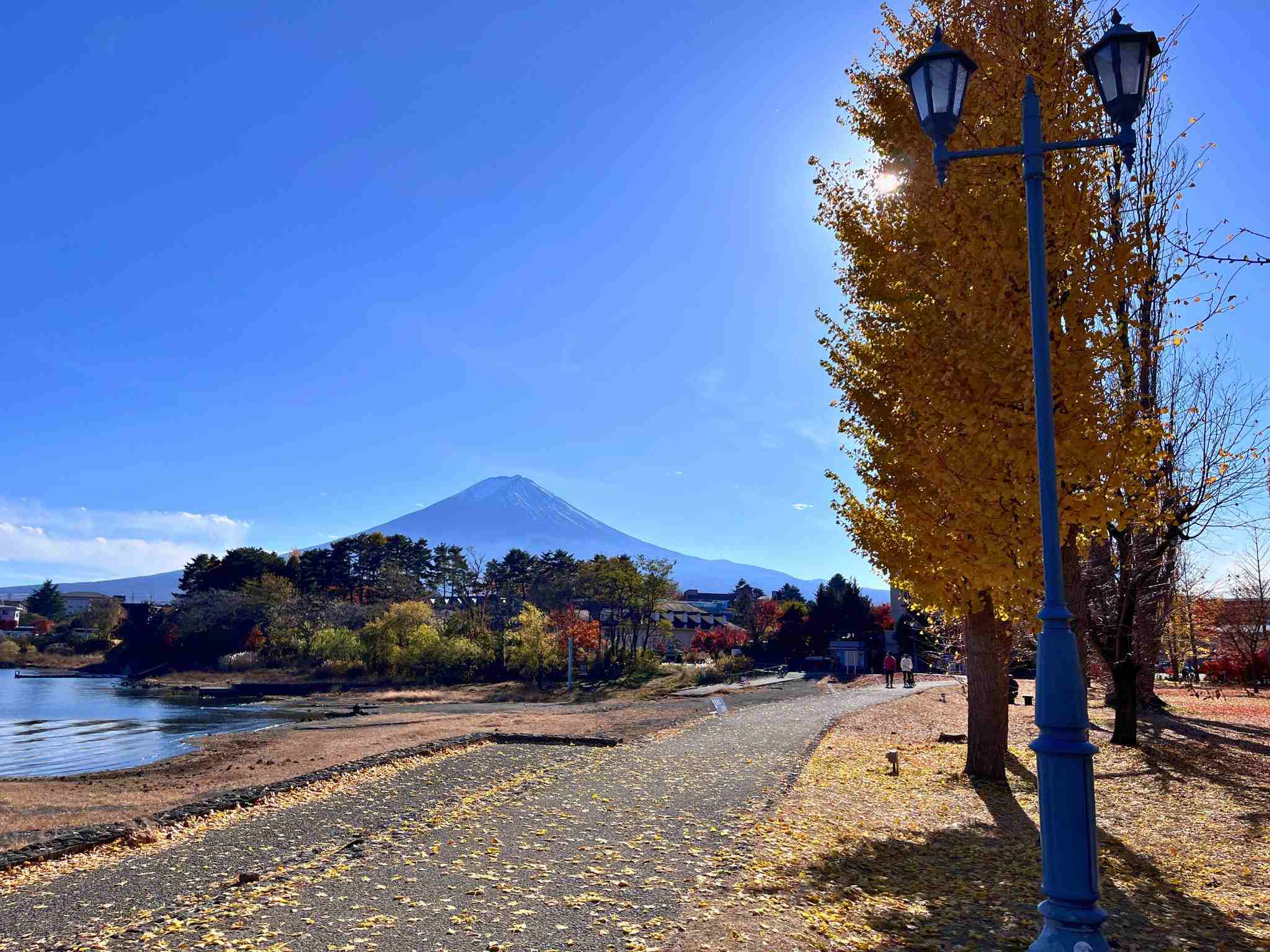 大池公園