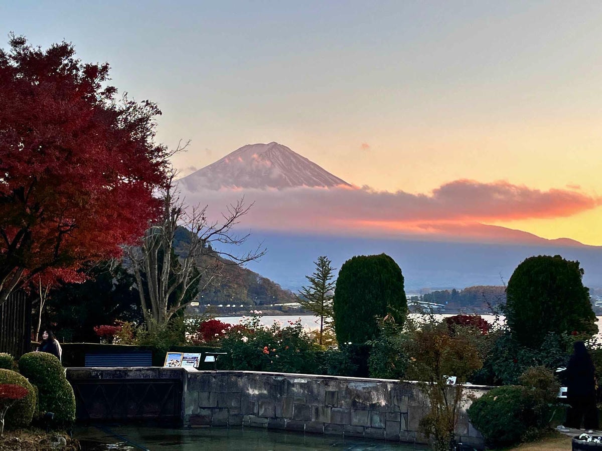 河口湖音樂森林美術館富士山景