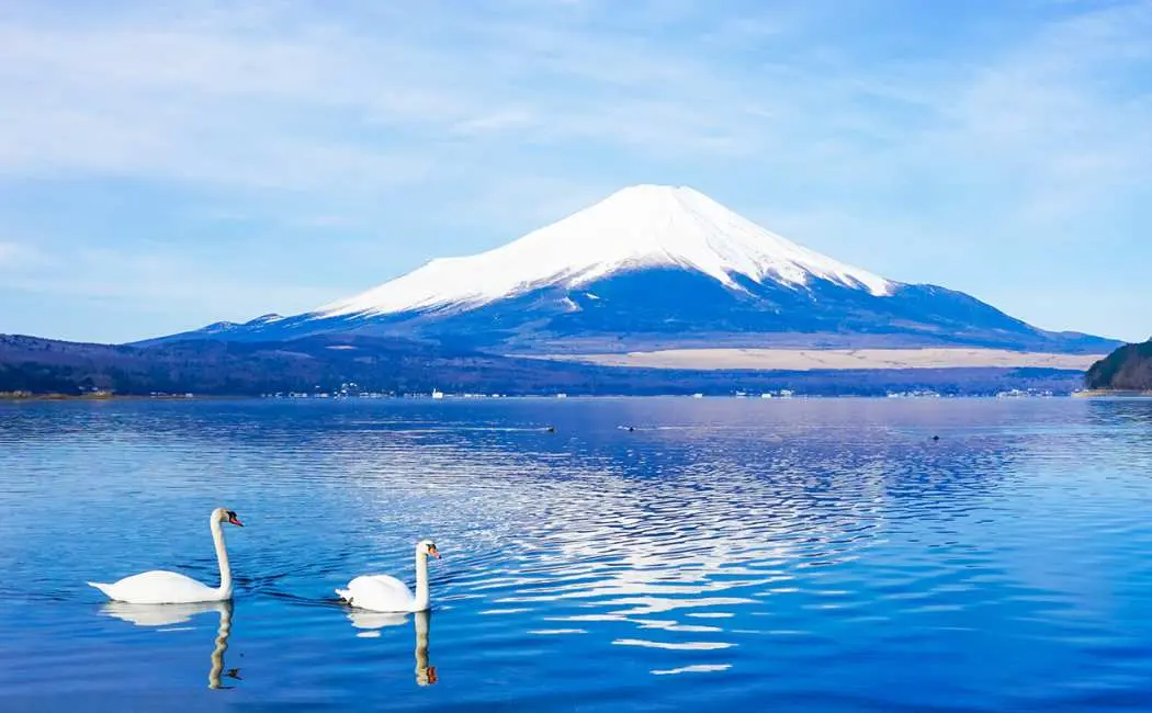 山中湖 山中湖