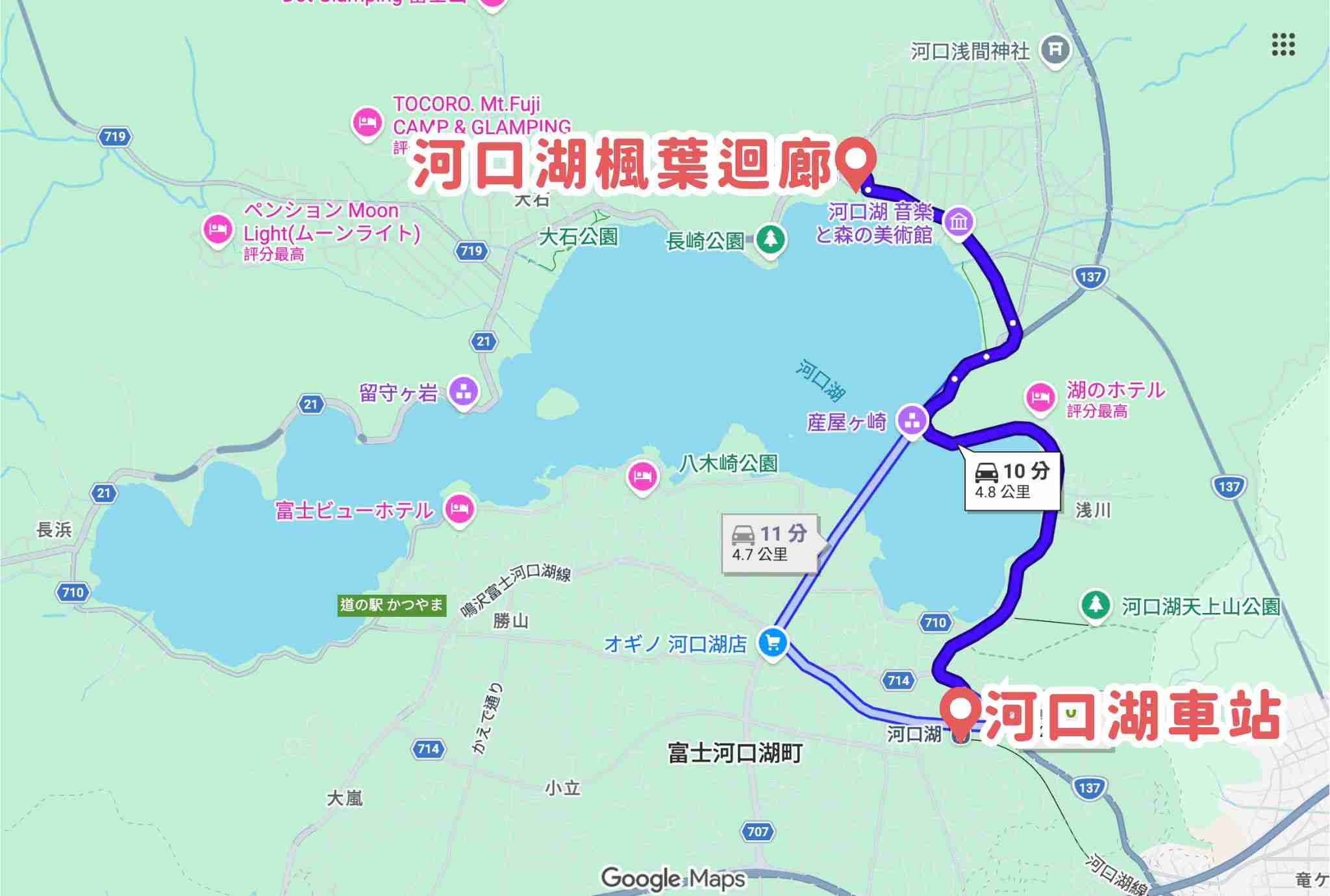 河口湖楓葉迴廊位置