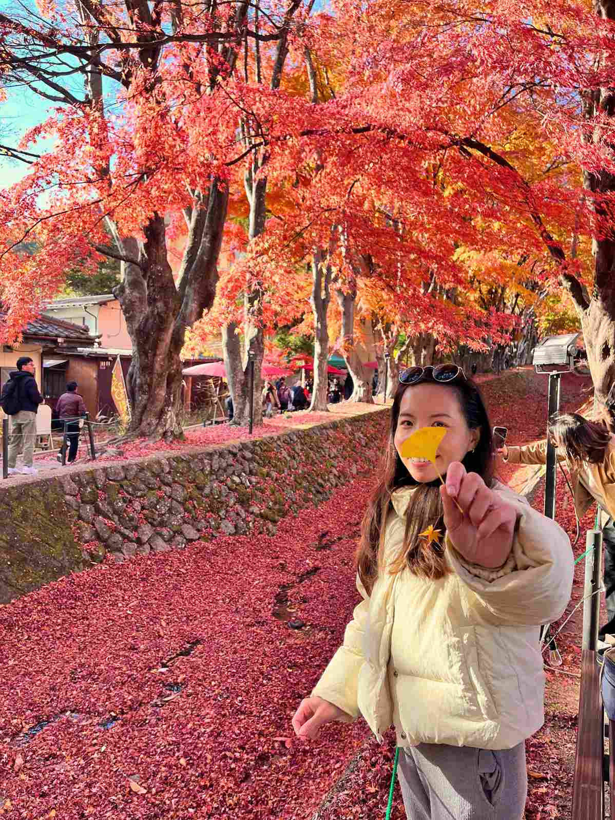 河口湖楓葉迴廊