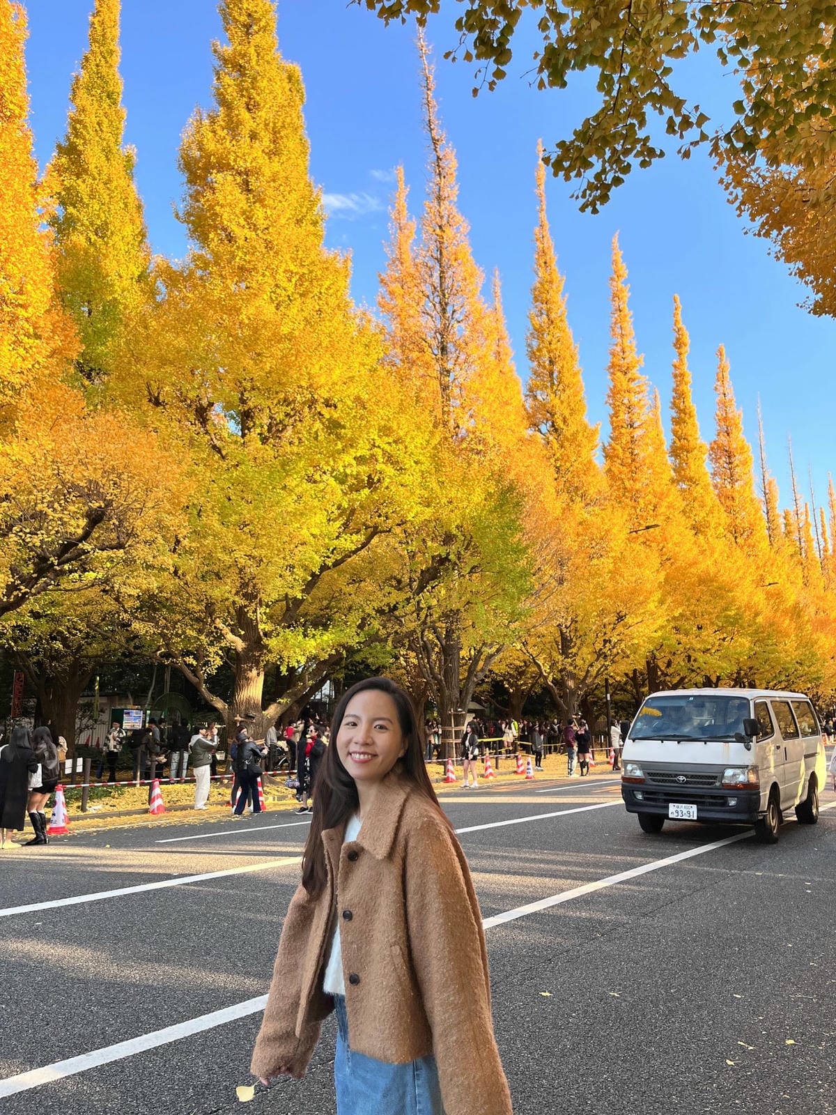 明治神宮外苑銀杏林大道 明治神宮外苑銀杏林大道