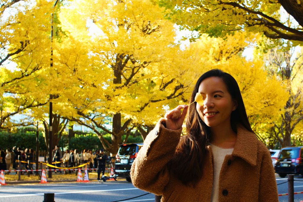 明治神宮外苑銀杏林大道 明治神宮外苑銀杏林大道